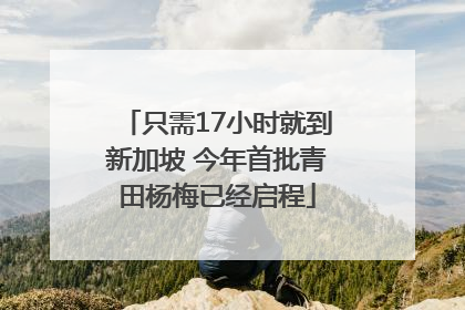 只需17小时就到新加坡 今年首批青田杨梅已经启程