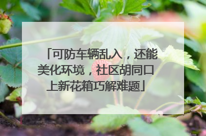 可防车辆乱入，还能美化环境，社区胡同口上新花箱巧解难题