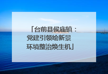 台前县侯庙镇：党建引领绘新景 环境整治焕生机