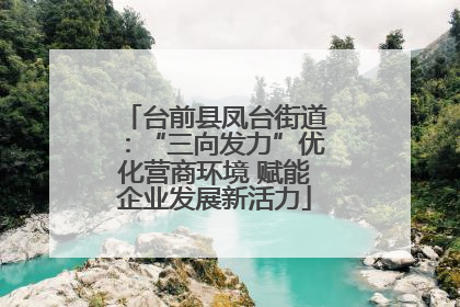 台前县凤台街道：“三向发力”优化营商环境 赋能企业发展新活力