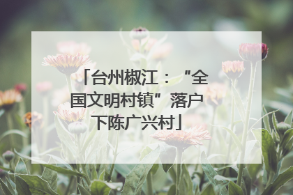 台州椒江：“全国文明村镇”落户下陈广兴村