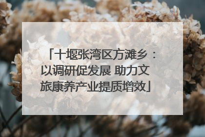 十堰张湾区方滩乡：以调研促发展 助力文旅康养产业提质增效