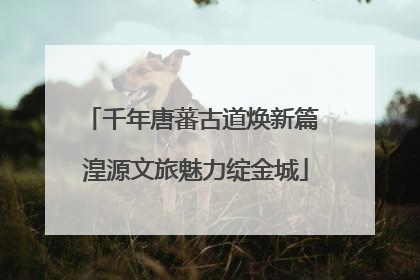 千年唐蕃古道焕新篇 湟源文旅魅力绽金城