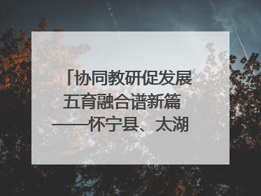 协同教研促发展 五育融合谱新篇——怀宁县、太湖县联合教研活动在月山镇中心学校成功举办