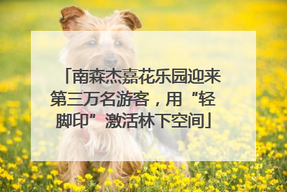 南森杰嘉花乐园迎来第三万名游客，用“轻脚印”激活林下空间