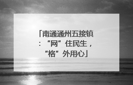 南通通州五接镇：“网”住民生，“格”外用心