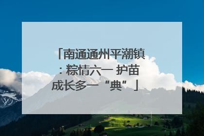 南通通州平潮镇：粽情六一 护苗成长多一“典”