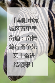 南阳市宛城区五里堡街道：奋楫笃行勇争先 实干奋进结硕果