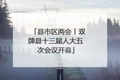 县市区两会丨双牌县十三届人大五次会议开幕