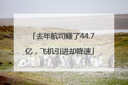 去年航司赚了44.7亿，飞机引进却降速