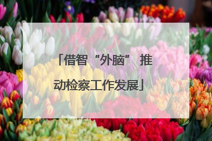借智“外脑” 推动检察工作发展