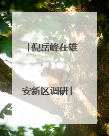 倪岳峰在雄安新区调研
