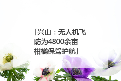 兴山：无人机飞防为4800余亩柑橘保驾护航
