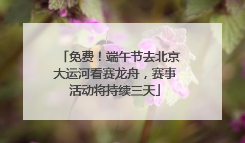 免费！端午节去北京大运河看赛龙舟，赛事活动将持续三天