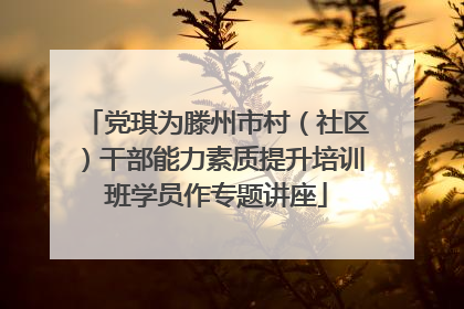 党琪为滕州市村（社区）干部能力素质提升培训班学员作专题讲座