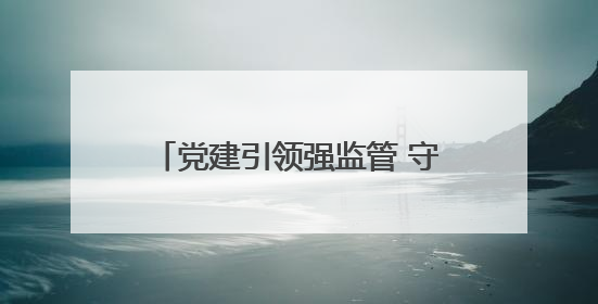 党建引领强监管 守护民生“水电气”