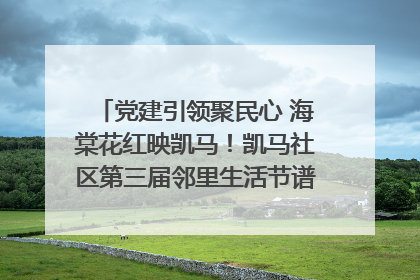 党建引领聚民心 海棠花红映凯马！凯马社区第三届邻里生活节谱写幸福新篇章