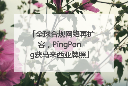全球合规网络再扩容，PingPong获马来西亚牌照