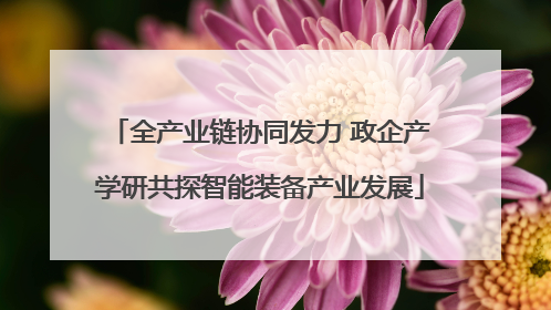 全产业链协同发力 政企产学研共探智能装备产业发展