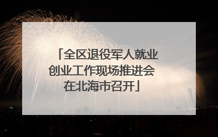 全区退役军人就业创业工作现场推进会在北海市召开