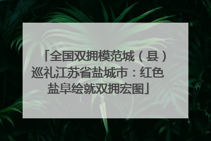 全国双拥模范城（县）巡礼江苏省盐城市：红色盐阜绘就双拥宏图
