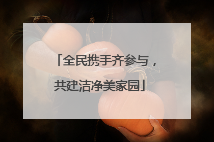 全民携手齐参与，共建洁净美家园