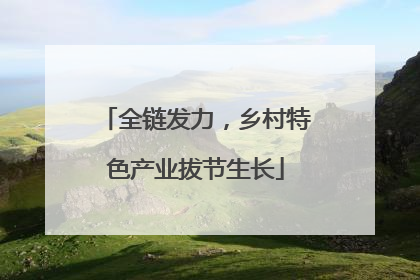全链发力，乡村特色产业拔节生长