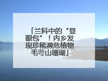 兰科中的“显眼包”！内乡发现珍稀濒危植物毛萼山珊瑚