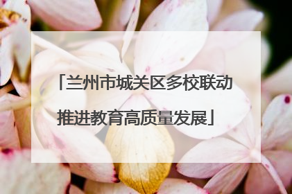 兰州市城关区多校联动推进教育高质量发展