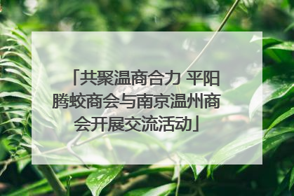 共聚温商合力 平阳腾蛟商会与南京温州商会开展交流活动