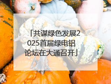 共谋绿色发展2025首届绿电铝论坛在大通召开