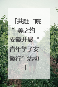 共赴“皖”美之约 安徽开展“青年学子安徽行”活动