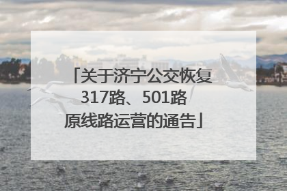 关于济宁公交恢复317路、501路原线路运营的通告