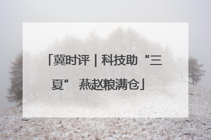 冀时评｜科技助“三夏” 燕赵粮满仓
