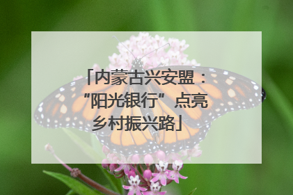 内蒙古兴安盟：“阳光银行”点亮乡村振兴路