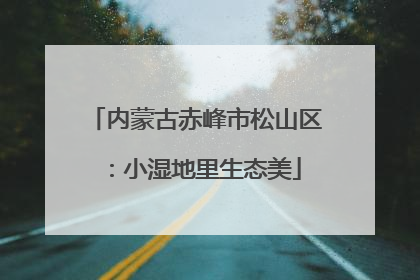 内蒙古赤峰市松山区：小湿地里生态美
