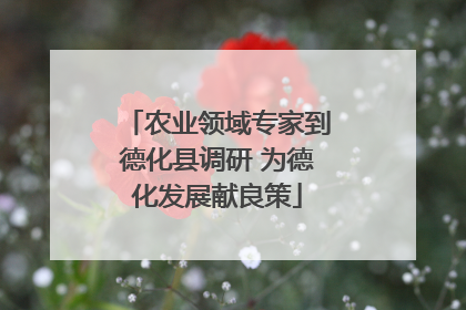 农业领域专家到德化县调研 为德化发展献良策