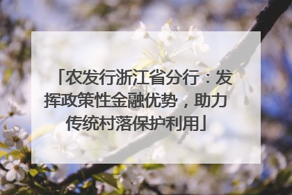 农发行浙江省分行：发挥政策性金融优势，助力传统村落保护利用