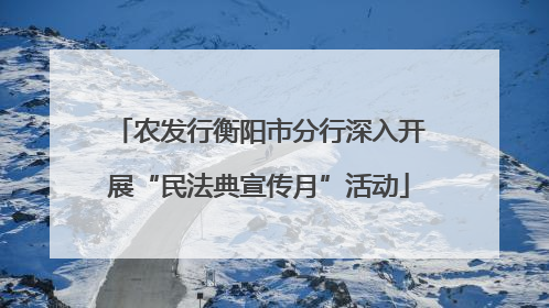 农发行衡阳市分行深入开展“民法典宣传月”活动
