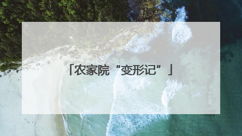 农家院“变形记”