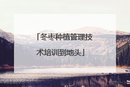 冬枣种植管理技术培训到地头
