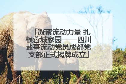 凝聚流动力量 扎根蓉城家园——四川盐亭流动党员成都党支部正式揭牌成立