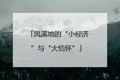 凤溪地的“小经济”与“大情怀”