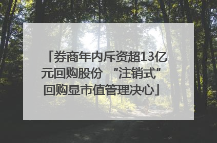 券商年内斥资超13亿元回购股份 “注销式”回购显市值管理决心