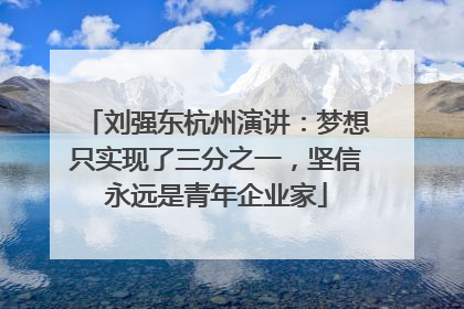 刘强东杭州演讲：梦想只实现了三分之一，坚信永远是青年企业家