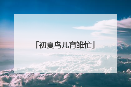 初夏鸟儿育雏忙