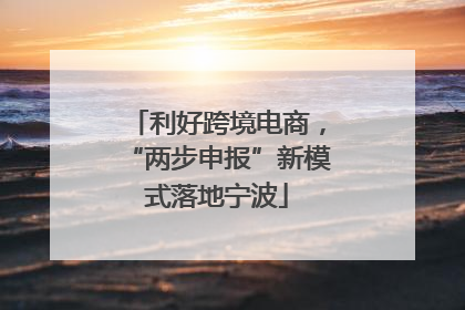 利好跨境电商,“两步申报”新模式落地宁波