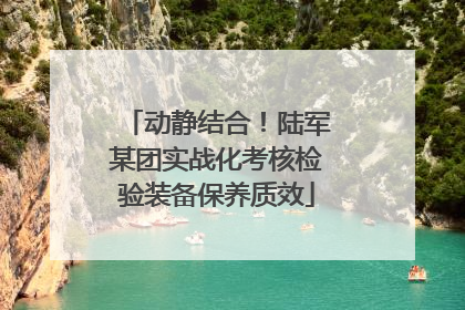 动静结合！陆军某团实战化考核检验装备保养质效