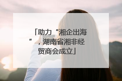 助力“湘企出海”，湖南省湘非经贸商会成立