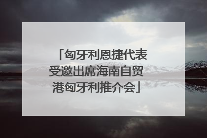 匈牙利恩捷代表受邀出席海南自贸港匈牙利推介会